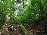 Img_9174七内峠.jpg