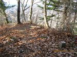 Img_9243sankaku.jpg