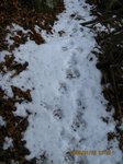 Img_9462ashiato.jpg