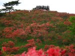 Img_9507展望台.jpg