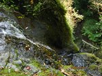 Img_9613不動滝.jpg