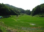 Img_9677田んぼ.jpg
