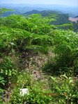 Img_9707三角点.jpg