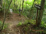 Img_9789分岐.jpg