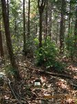 Img_9794sankaku.jpg