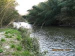 Img_9817kawa.jpg