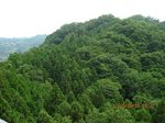Img_9818後沢三等方面.jpg