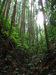 Img_9835谷.jpg